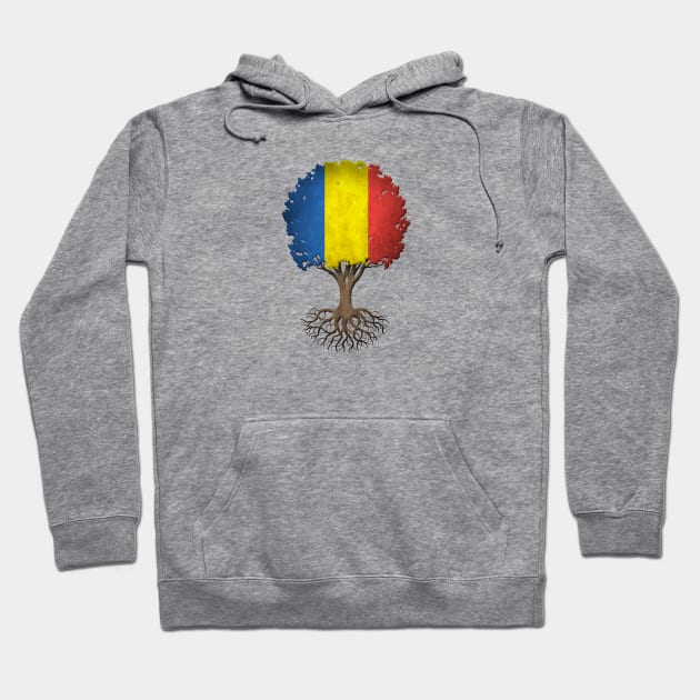 Tree of Life with Romanian Flag Hoodie by jeffbartels